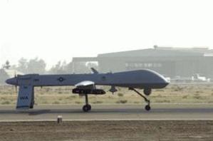 Have you seen my Predators?